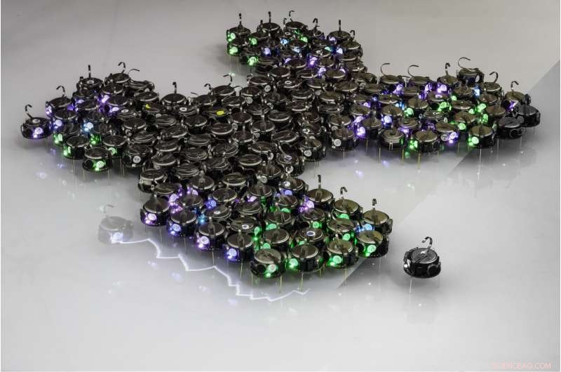 Engineering Complex Bio-Inspired Shapes with Hundreds of Miniature Robots