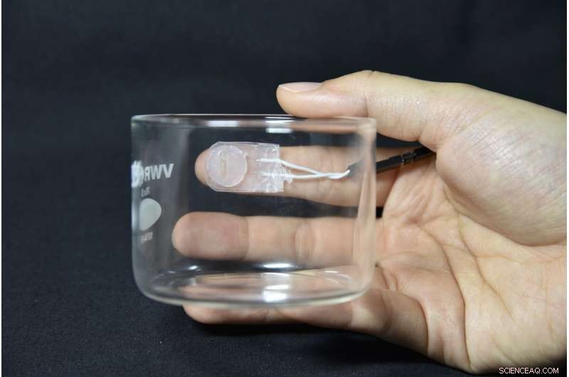 Wearable Soft Sensor: Safe, Real-Time Finger Motion and Force Detection