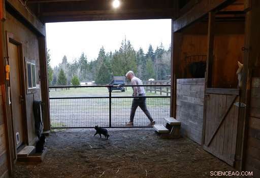 Tech Addicts Turn to 12-Step Programs and Rehab for Recovery