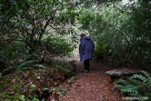 Tech Addicts Turn to 12-Step Programs and Rehab for Recovery