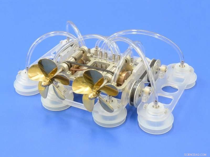 Innovative Roving Biologger Traverses Sperm Whale Skin for Advanced Data Collection