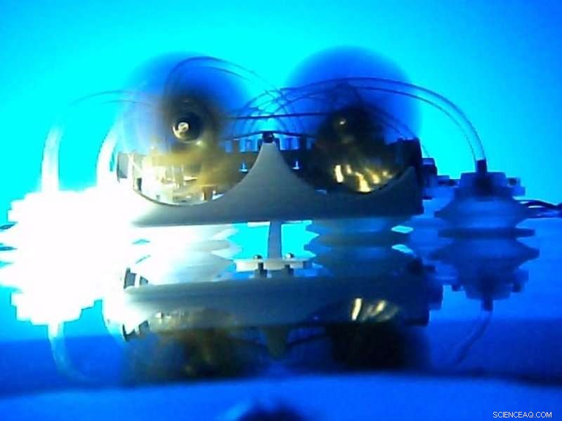 Innovative Roving Biologger Traverses Sperm Whale Skin for Advanced Data Collection