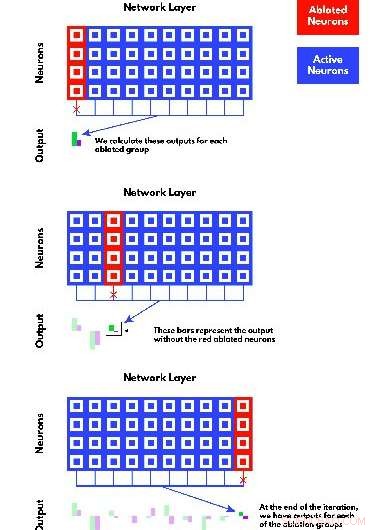 Exploring Neural Network Architecture Through Ablation Techniques