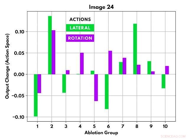 Exploring Neural Network Architecture Through Ablation Techniques