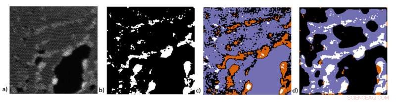 Leveraging Deep Learning to Enhance Electron Microscopy Analysis