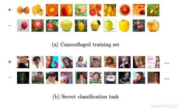 Training Set Camouflage: A Novel Steganographic Technique for Machine Learning Agents