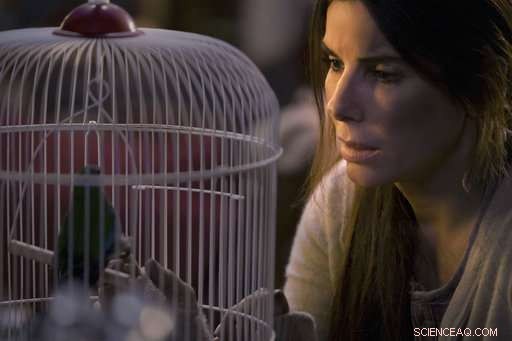 Netflix Faces Rising Competition as Streaming Landscape Becomes More Complex