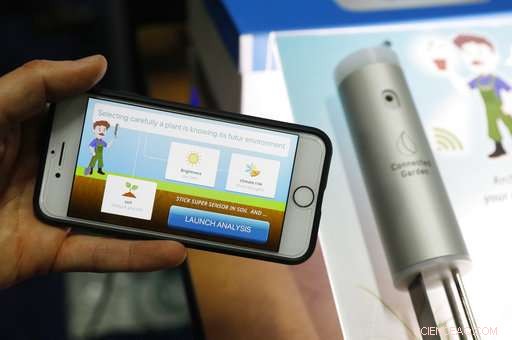 Smart Home Devices: Advancing Intelligence and Emerging Privacy Concerns