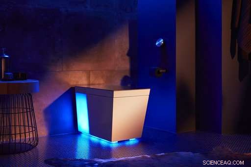 Smart Home Devices: Advancing Intelligence and Emerging Privacy Concerns