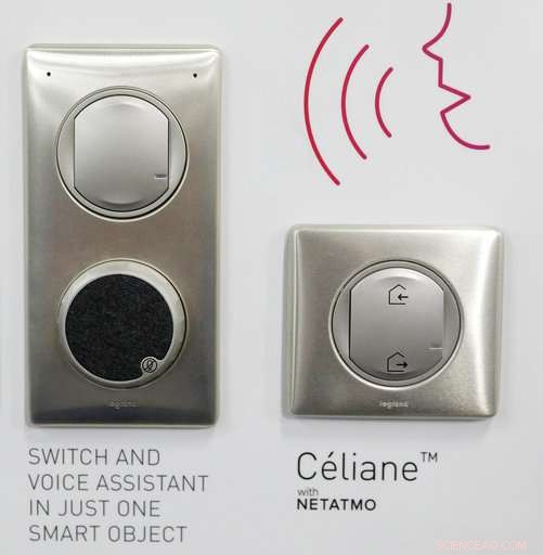 Smart Home Devices: Advancing Intelligence and Emerging Privacy Concerns