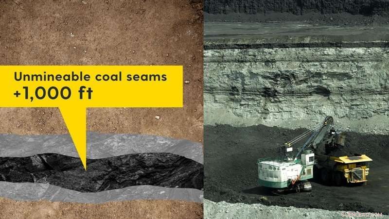 Termite Gut Microbes Unlock Clean Energy from Coal