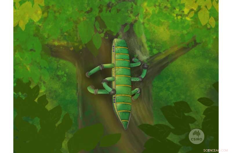 Future Robots Emphasize Functionality Over Flashy Design, Says CSIRO