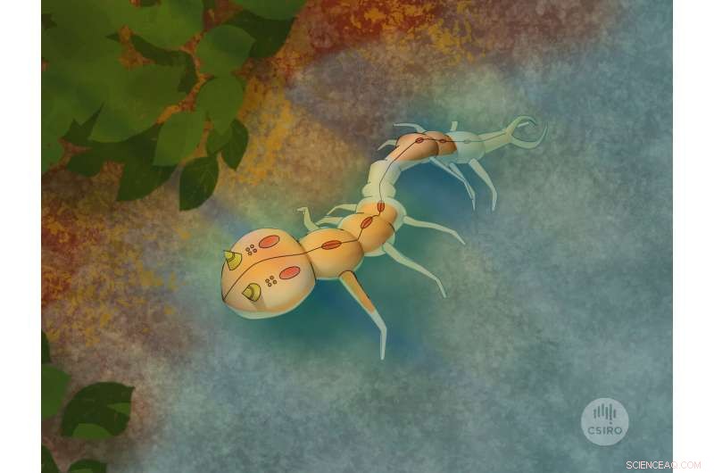 Future Robots Emphasize Functionality Over Flashy Design, Says CSIRO