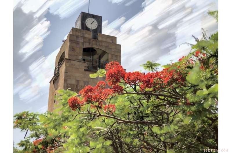 Master Smartphone Photography: Boost Your Shots with Computational Photography