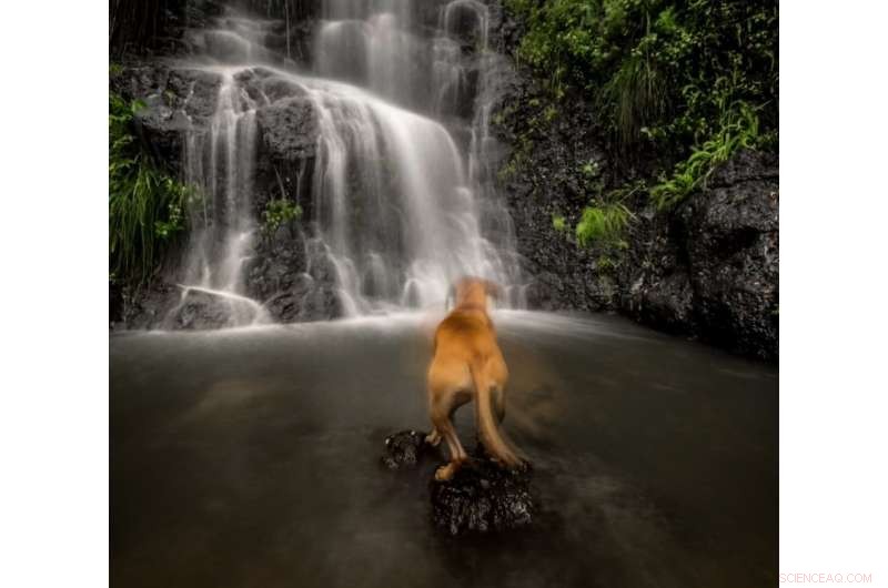 Master Smartphone Photography: Boost Your Shots with Computational Photography