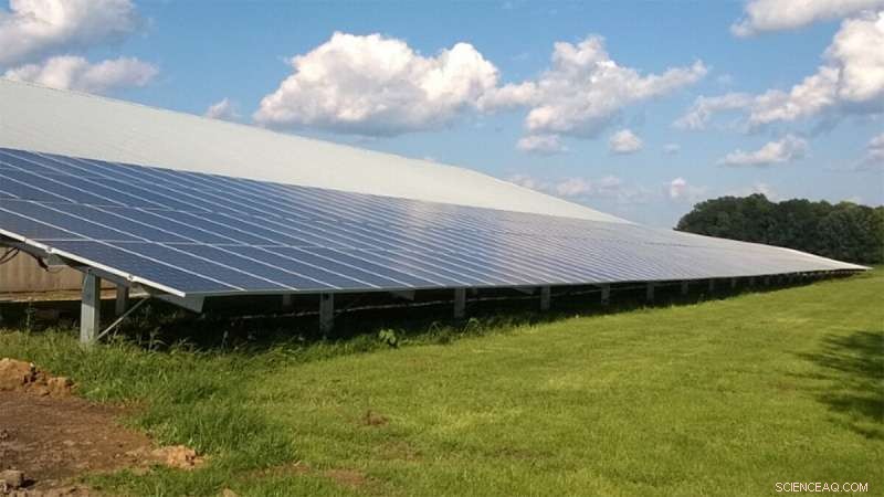 Solar Technology Cuts Energy Bills for Indiana Farm, Safeguarding the Environment