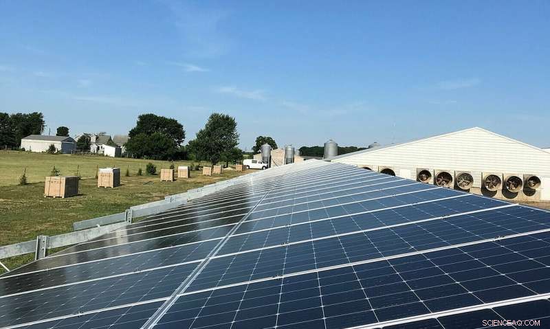 Solar Technology Cuts Energy Bills for Indiana Farm, Safeguarding the Environment