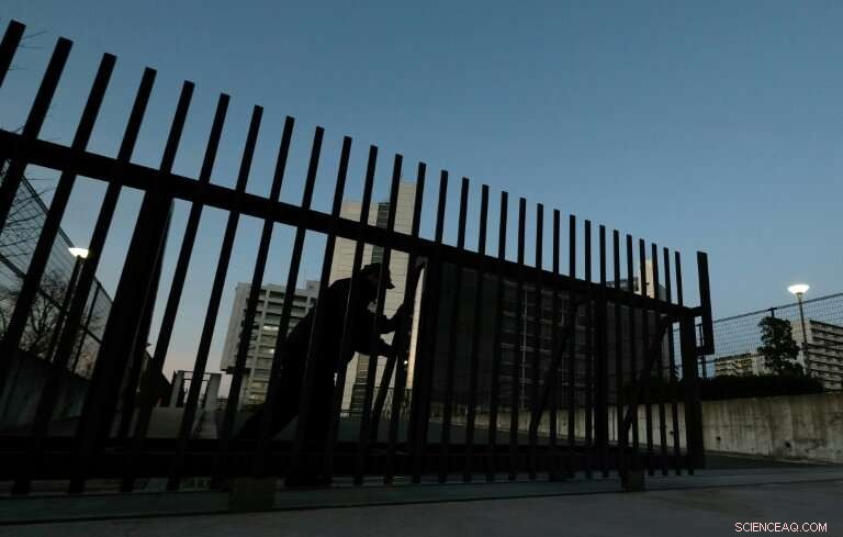 Tokyo Court Rejects Bail Request for Former Nissan CEO Carlos Ghosn