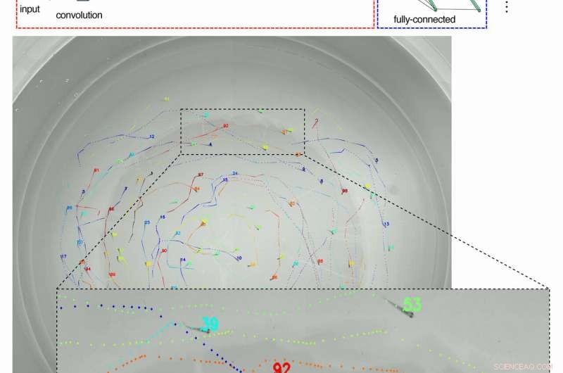 Locate George: AI Software Tracks Every Fish in Crowded Aquatic Environments