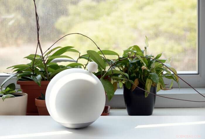 New Robot Greeter Developed to Welcome New Arrivals