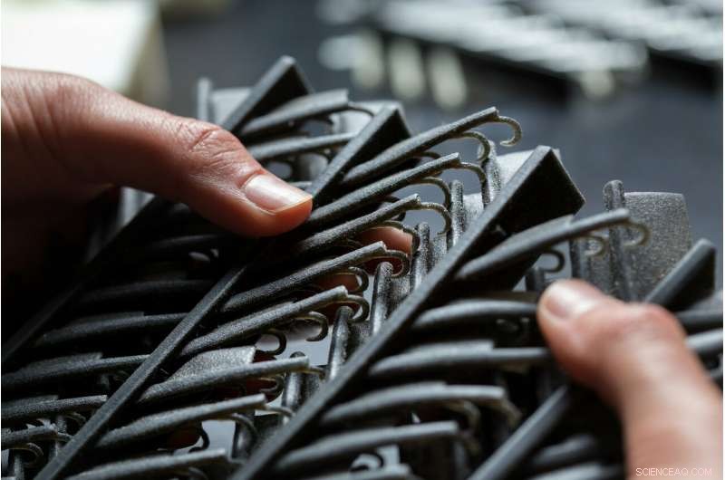 Engineers Unveil Feather-Inspired Design for Advanced Adhesives and Aerospace Materials