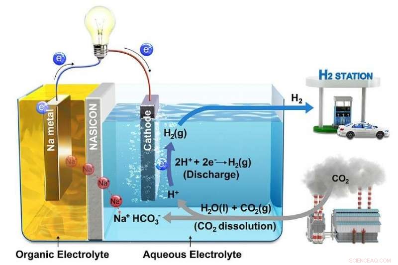 UNIST Breakthrough: Converting CO₂ Emissions into Clean Energy & Hydrogen