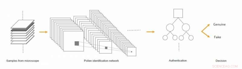 New AI‑Powered Technique Authenticates Honey, Detecting Counterfeits