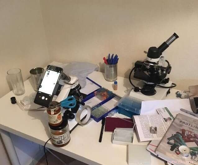 New AI‑Powered Technique Authenticates Honey, Detecting Counterfeits