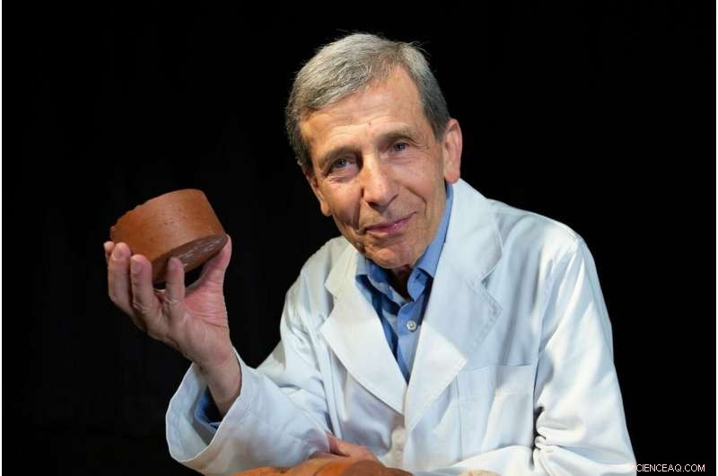 Transforming Treated Sewage Sludge into Sustainable Bricks