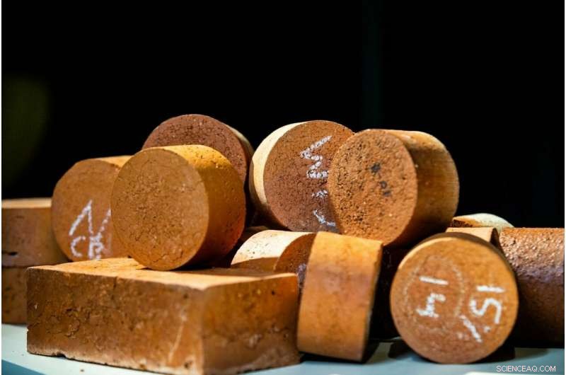 Transforming Treated Sewage Sludge into Sustainable Bricks