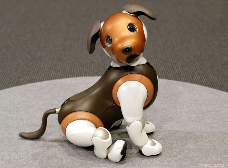 Sony Unveils Home Robot Dog ‘aibo’ with Advanced AI Features
