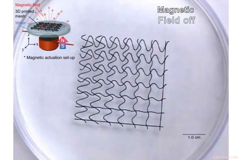 NC State Scientists Build Magnetic 3D‑Printed Soft Mesh Robots