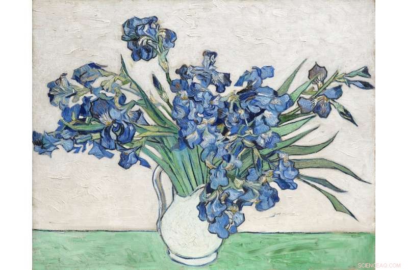 Advanced Dictionary Learning Classifies Vincent van Gogh’s Brush Strokes