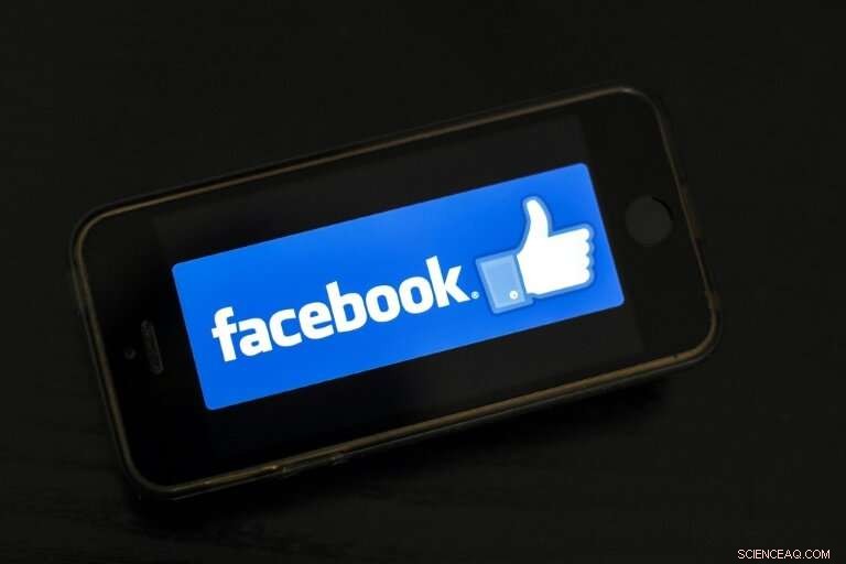 Facebook Unveils New Tools to Combat EU Election Interference