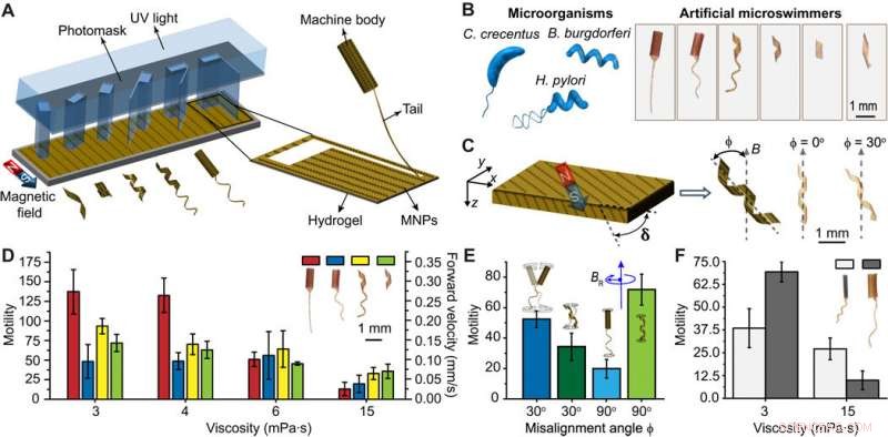 Adaptive Locomotion in Artificial Microswimmers: Engineering Bio‑Inspired Motion