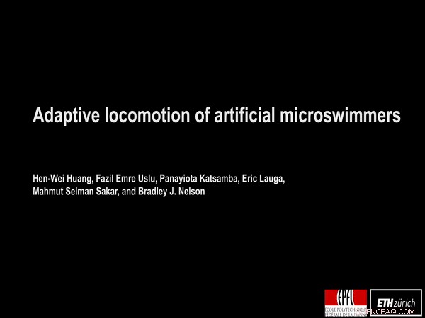 Adaptive Locomotion in Artificial Microswimmers: Engineering Bio‑Inspired Motion