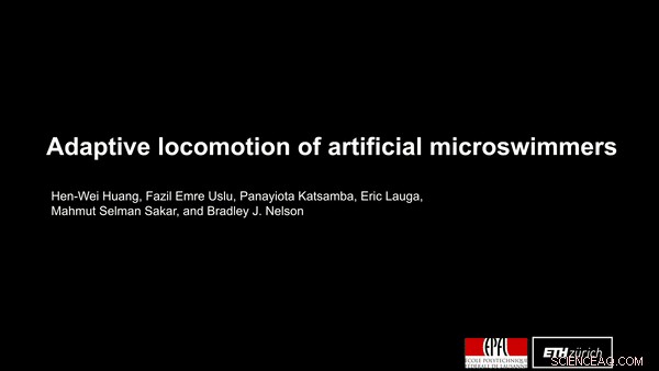 Adaptive Locomotion in Artificial Microswimmers: Engineering Bio‑Inspired Motion