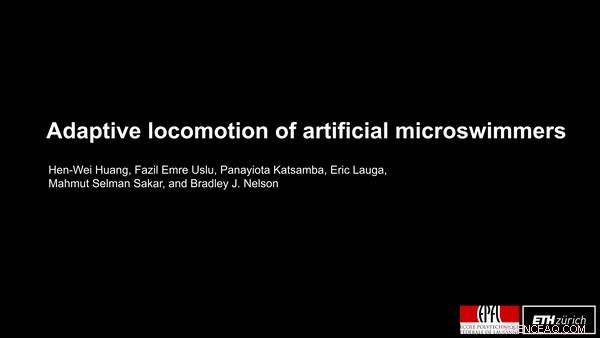 Adaptive Locomotion in Artificial Microswimmers: Engineering Bio‑Inspired Motion