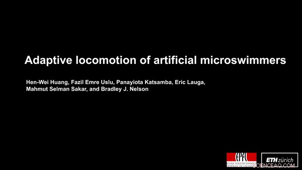 Adaptive Locomotion in Artificial Microswimmers: Engineering Bio‑Inspired Motion