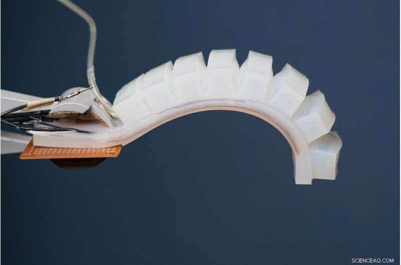 Engineers Develop Human-Inspired Perception System for Soft Robotics