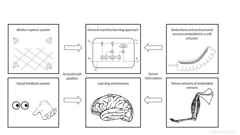 Engineers Develop Human-Inspired Perception System for Soft Robotics
