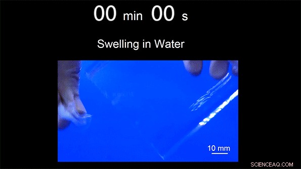 Expandable Ingestible Pill Enables Continuous Stomach Monitoring for 30 Days