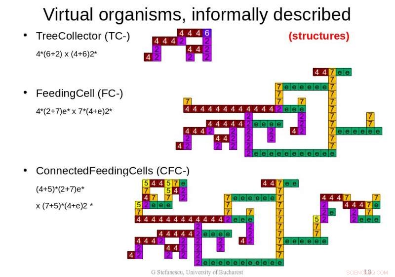 University of Bucharest Unveils Adaptive Virtual Organisms Model for Advanced Hardware-Software Integration