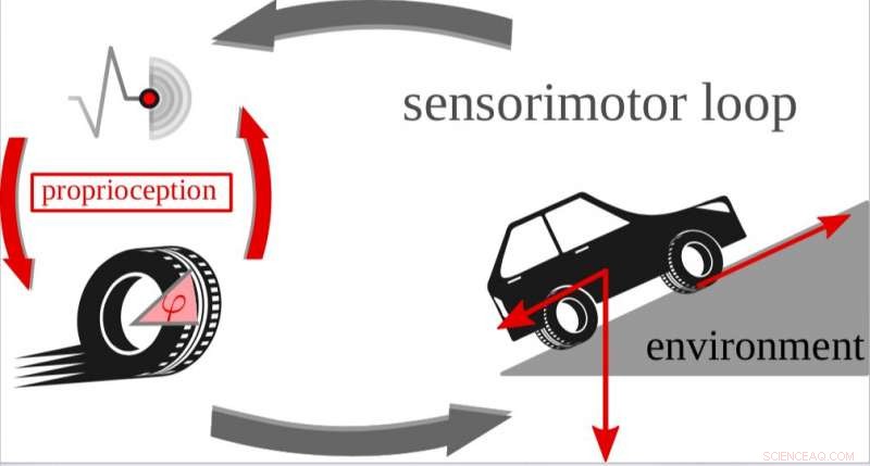 Developing Robust Kick Control for Simulated and Physical Wheeled Robots