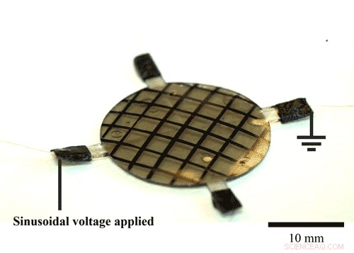 Transforming Flat Elastomers into 3D Shapes: Reconfigurable Soft Actuators for Advanced Robotics