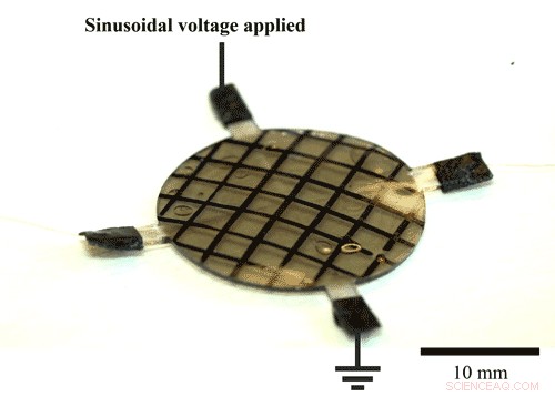 Transforming Flat Elastomers into 3D Shapes: Reconfigurable Soft Actuators for Advanced Robotics
