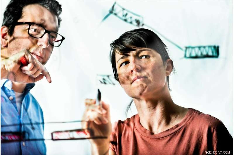 Organic Transistor Mimics Brain Synapses for Advanced Learning Applications