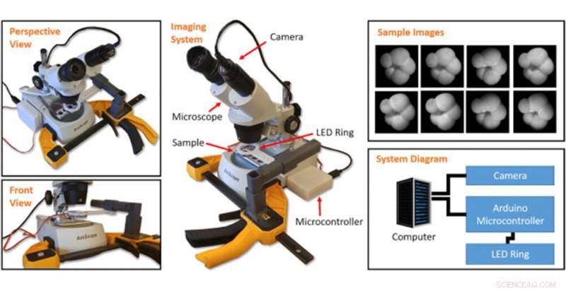 AI Enables Precise Identification of Microscopic Marine Organisms
