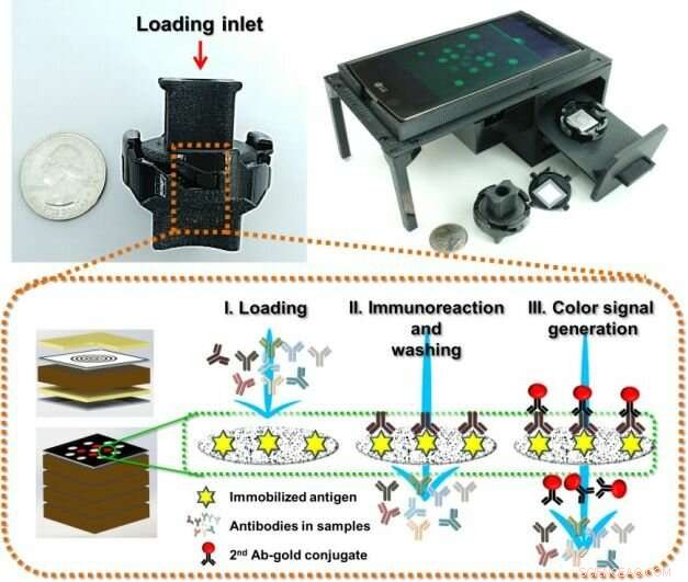 Paper‑Based Multi‑Target Diagnostic Test Opens New Application Horizons
