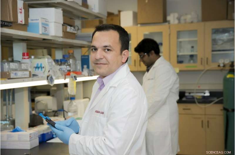 From Selfies to Self‑Diagnosis: How Algorithms Turn Smartphones into Powerful Diagnostic Tools